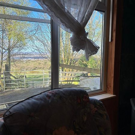 Cozy Room In A Barn With Farm View Dublin Kültér fotó