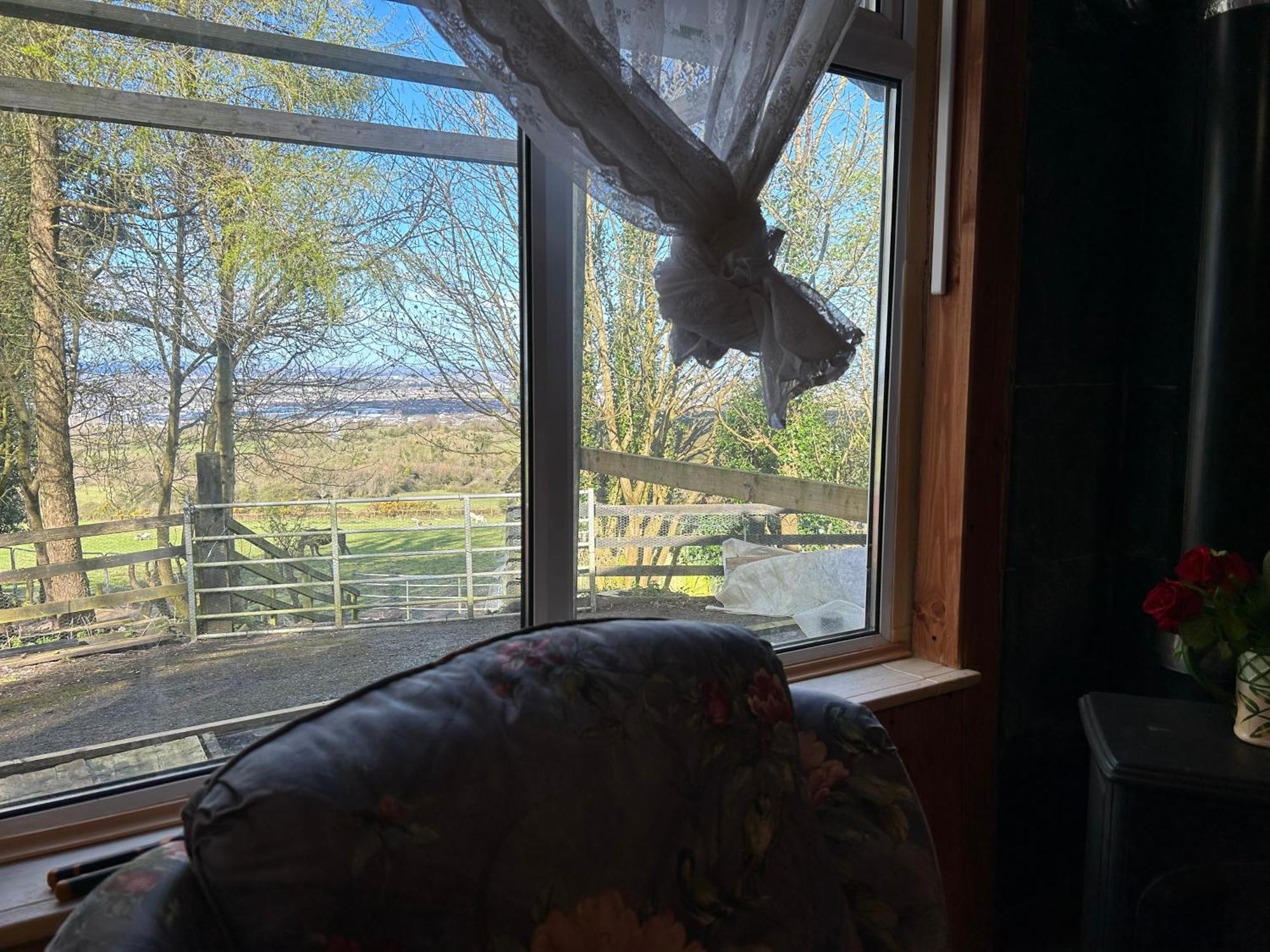 Cozy Room In A Barn With Farm View Dublin Kültér fotó
